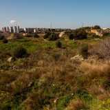Attraverso un sentiero naturale scendiamo velocemente al suo interno, completamente circondati da una folta macchia mediterranea